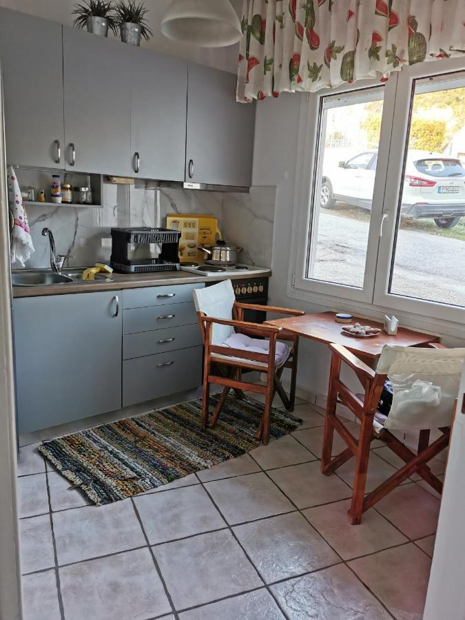 Nia'S Apartment By The Sea Nea Iraklitsa エクステリア 写真